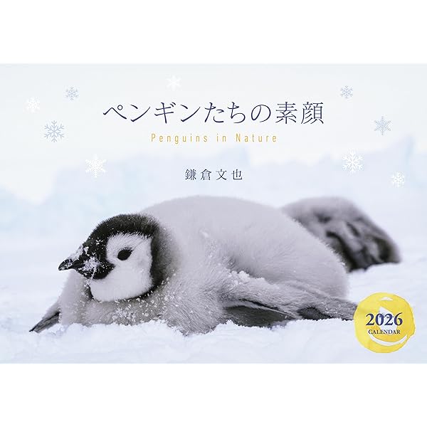 Amazon.co.jp: Suica's Penguin壁かけカレンダー2026 ([カレンダー